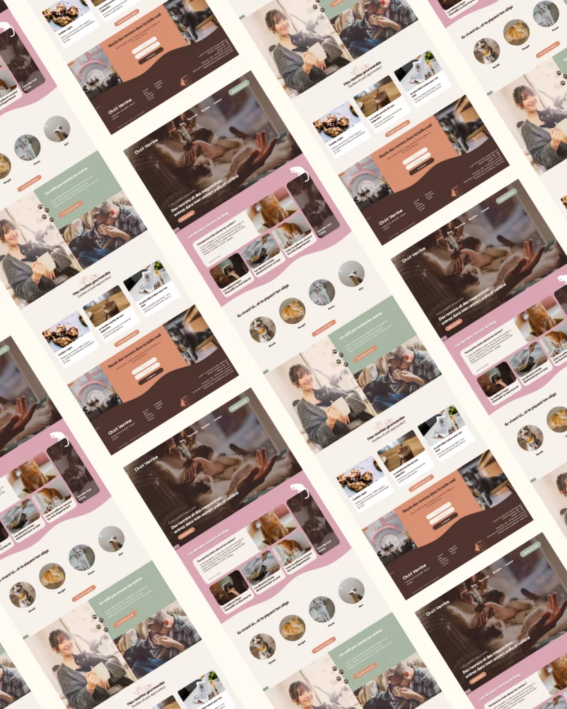 site-internet-blog-vitrine-chatverrine